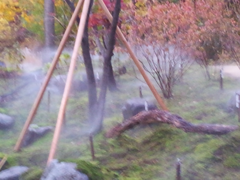 남산_2.jpg