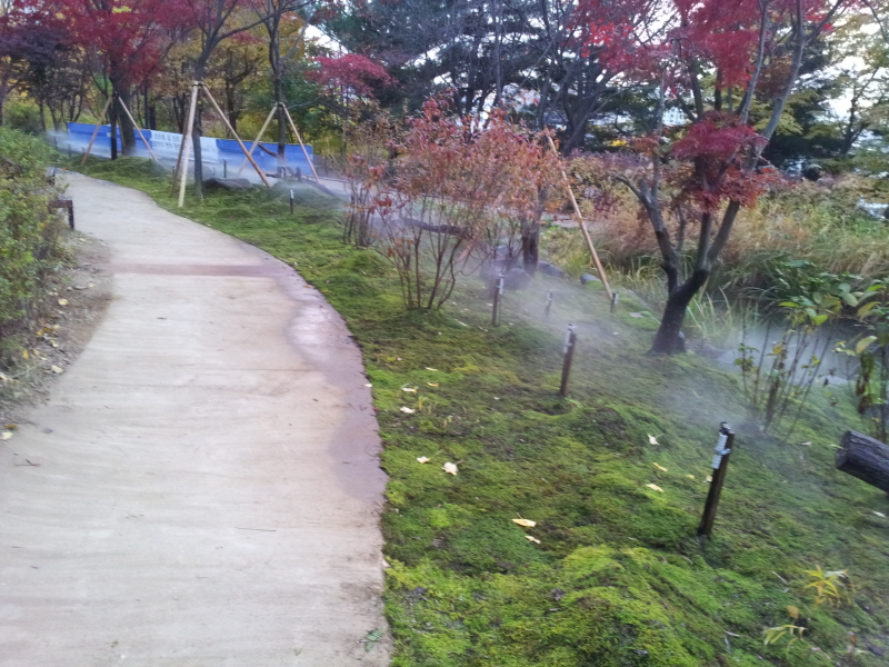 남산_8.jpg