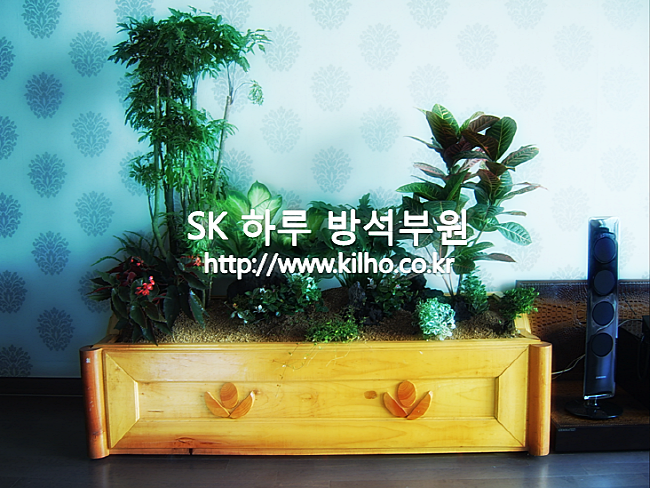 더샾_2.png