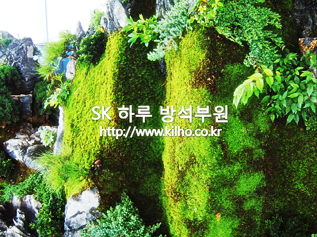 천안_2.png