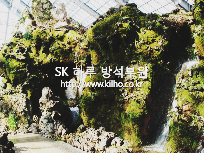 우리꽃_1.png