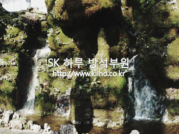 우리꽃_2.png