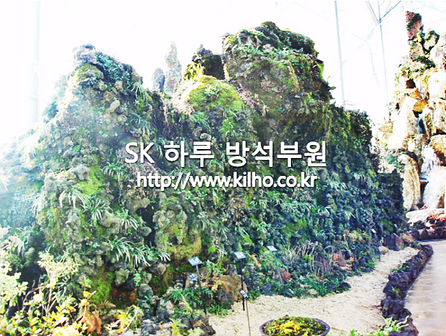 우리꽃_5.png