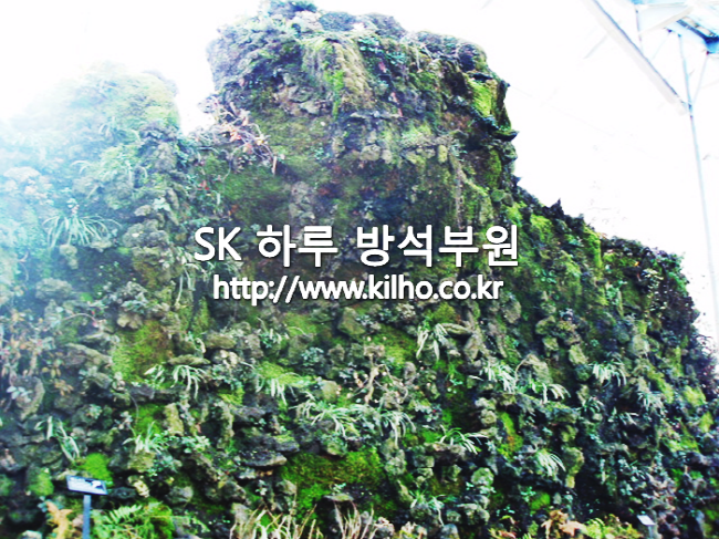 우리꽃_6.png
