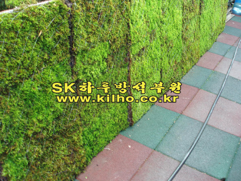 매장_4.jpg