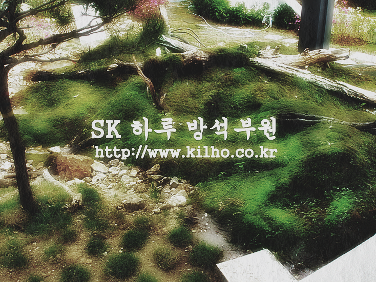 가정_2.png
