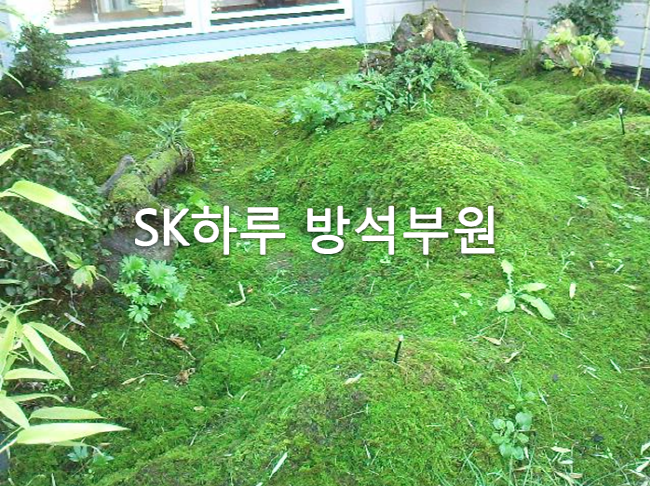 가_1.png