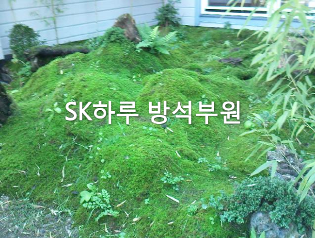 가_2.png