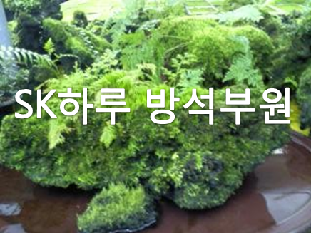 전시_2.png