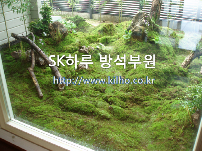 가이_2.png