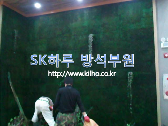 대구_2.png
