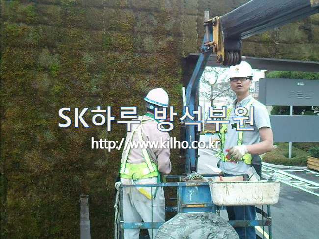 벽면_2.png