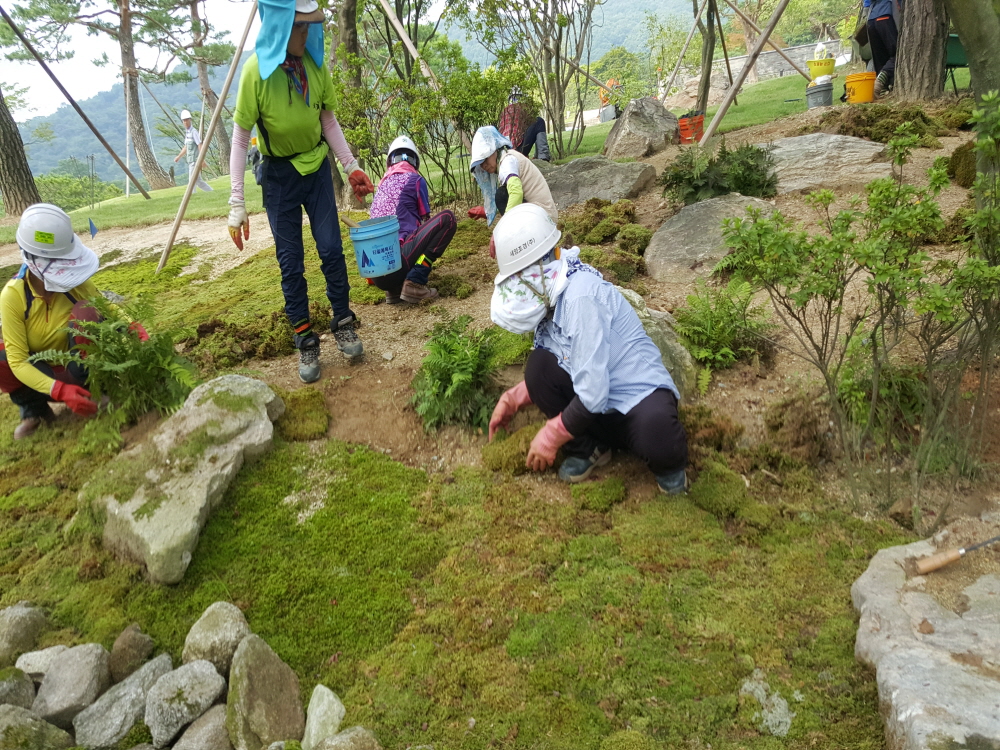 이끼정원_6.jpg