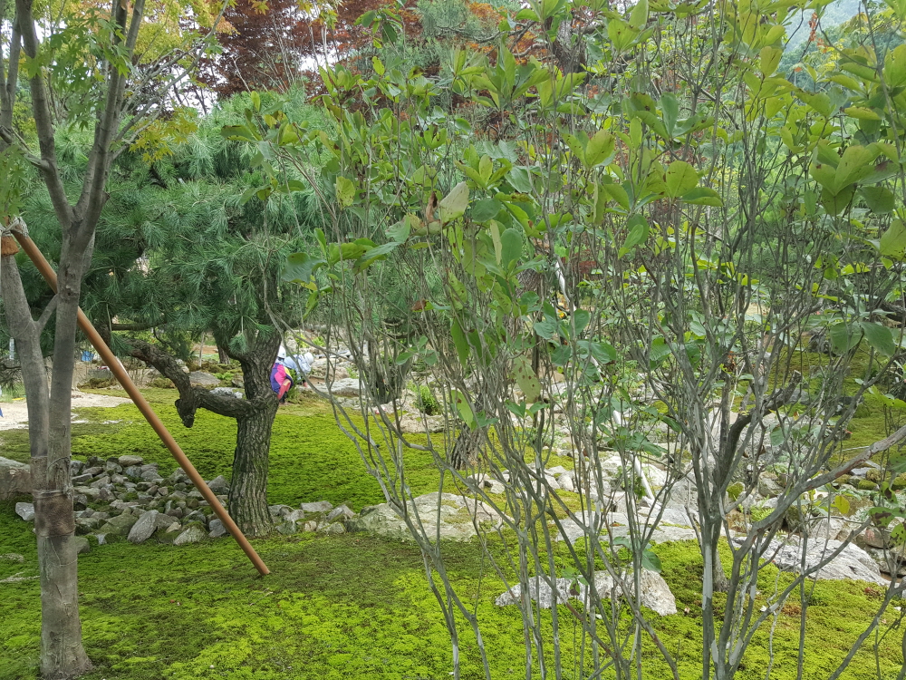 이끼정원_2.jpg