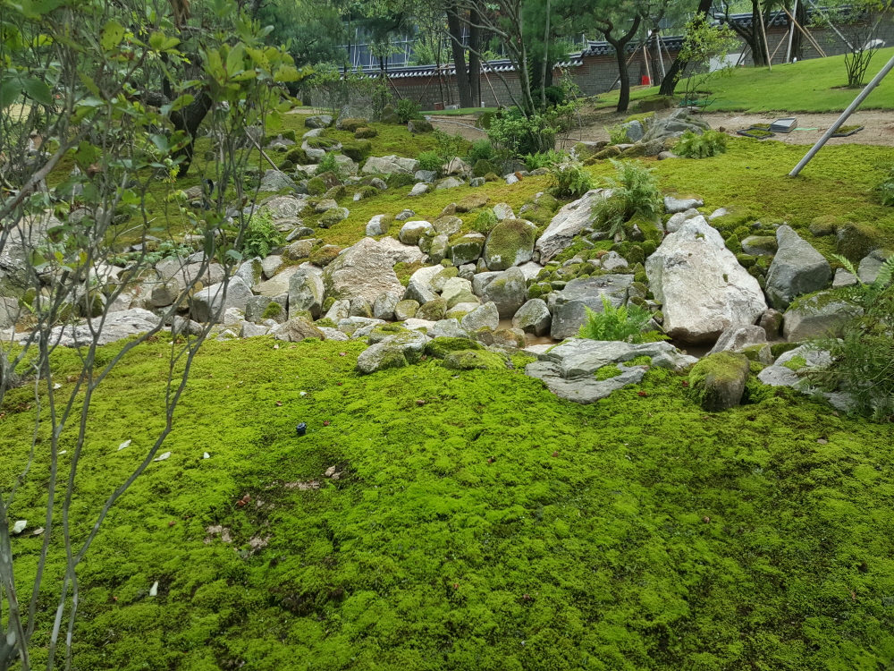 이끼정원_1.jpg